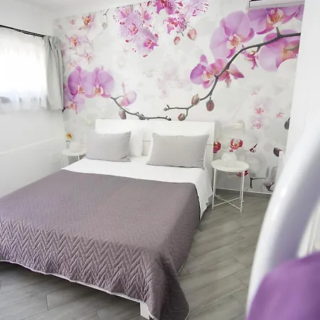 Bed & Breakfast Casa Fiorita Gragnano
